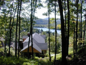 Gorgeous Peaceful Cottage on the Forest